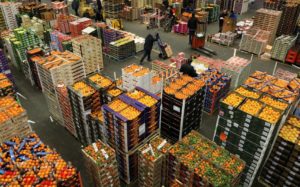 Grossistes Strasbourg,Bordeaux,Lille,Rennes,Reims