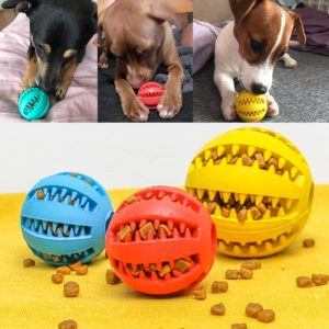 jouets chien